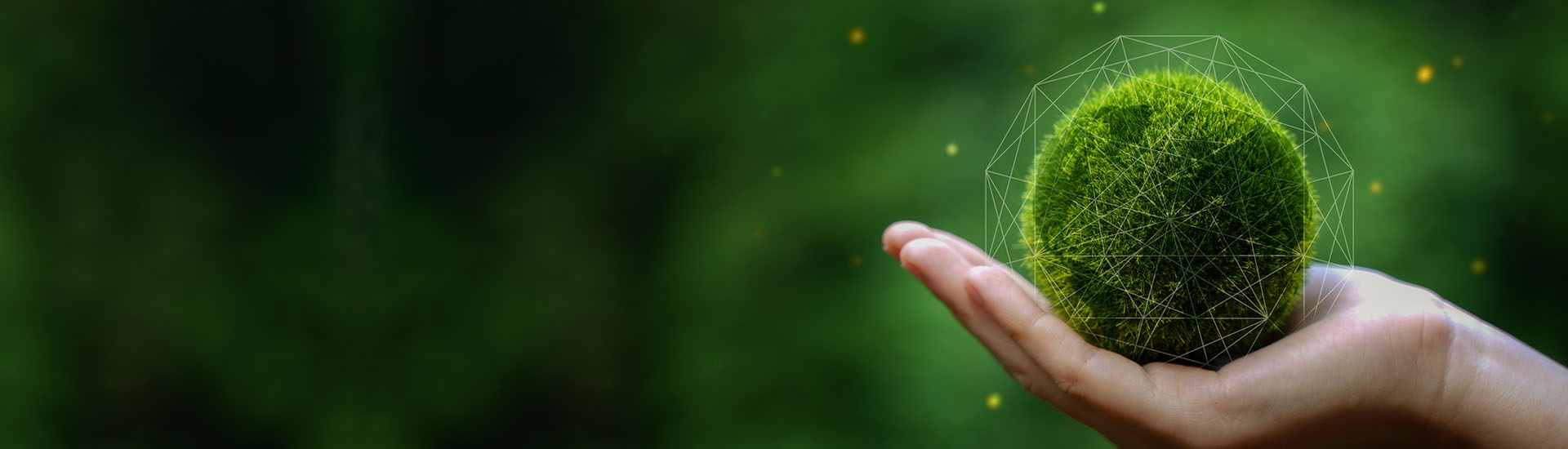 Sustainable<br />
Initiatives